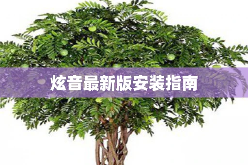 炫音最新版安装指南