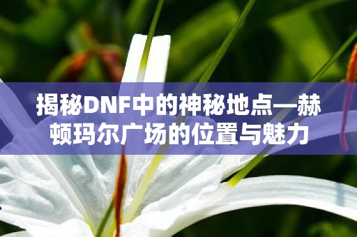 揭秘DNF中的神秘地点—赫顿玛尔广场的位置与魅力