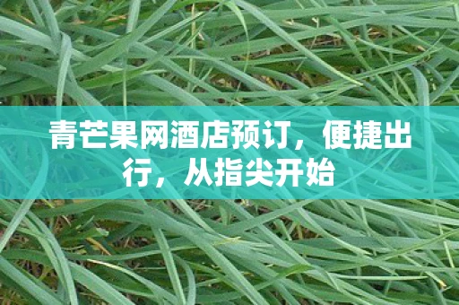 青芒果网酒店预订，便捷出行，从指尖开始