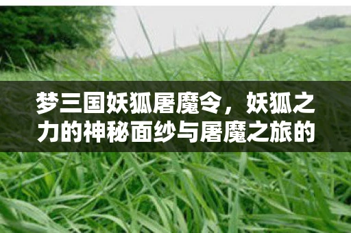 梦三国妖狐屠魔令，妖狐之力的神秘面纱与屠魔之旅的震撼揭秘