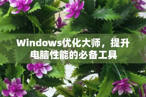 Windows优化大师，提升电脑性能的必备工具