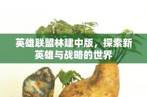 英雄联盟林建中版，探索新英雄与战略的世界