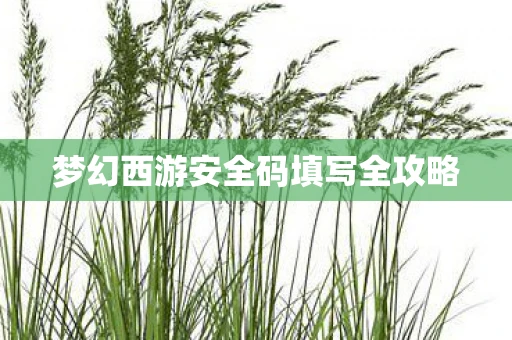 梦幻西游安全码填写全攻略