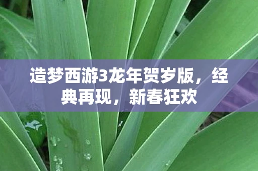 造梦西游3龙年贺岁版，经典再现，新春狂欢