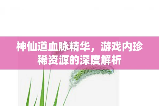 神仙道血脉精华，游戏内珍稀资源的深度解析