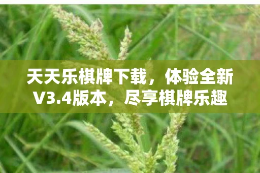 天天乐棋牌下载，体验全新V3.4版本，尽享棋牌乐趣
