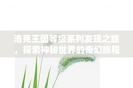 洛克王国等级系列发现之旅，探索神秘世界的奇幻旅程