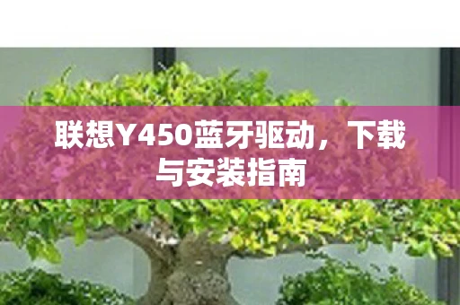 联想Y450蓝牙驱动，下载与安装指南