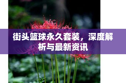 街头篮球永久套装，深度解析与最新资讯