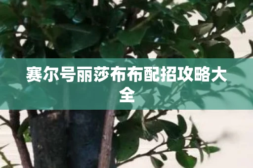 赛尔号丽莎布布配招攻略大全