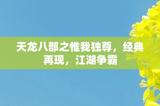 天龙八部之惟我独尊，经典再现，江湖争霸
