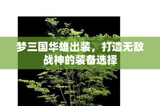 梦三国华雄出装，打造无敌战神的装备选择