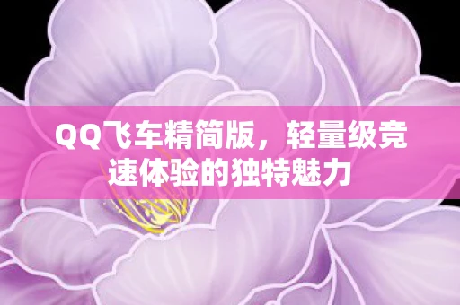 QQ飞车精简版，轻量级竞速体验的独特魅力