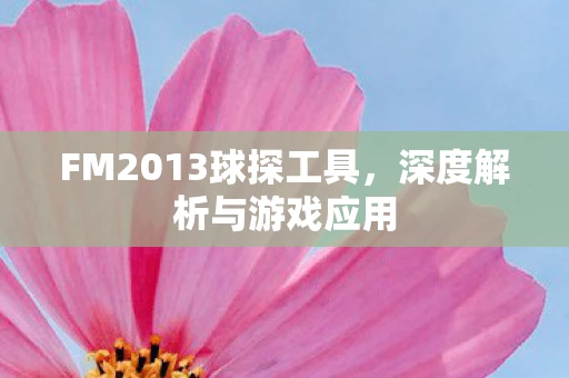 FM2013球探工具，深度解析与游戏应用