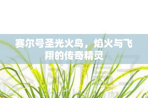 赛尔号圣光火鸟，焰火与飞翔的传奇精灵