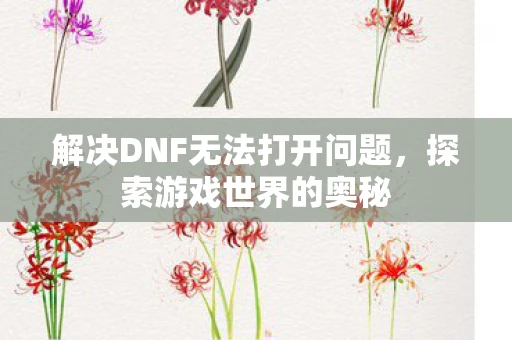 解决DNF无法打开问题，探索游戏世界的奥秘