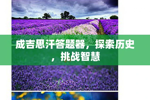 成吉思汗答题器，探索历史，挑战智慧