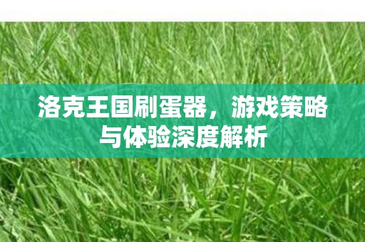 洛克王国刷蛋器，游戏策略与体验深度解析