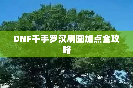 DNF千手罗汉刷图加点全攻略图片