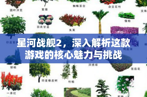 星河战舰2，深入解析这款游戏的核心魅力与挑战