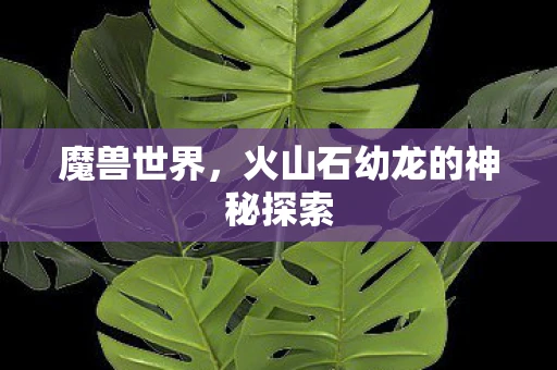 魔兽世界，火山石幼龙的神秘探索