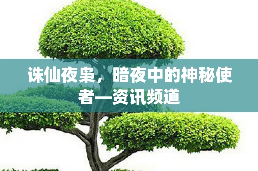 诛仙夜枭，暗夜中的神秘使者—资讯频道