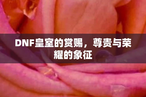 DNF皇室的赏赐，尊贵与荣耀的象征