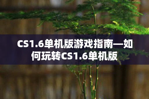 CS1.6单机版游戏指南—如何玩转CS1.6单机版