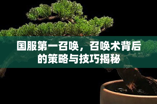 国服第一召唤，召唤术背后的策略与技巧揭秘