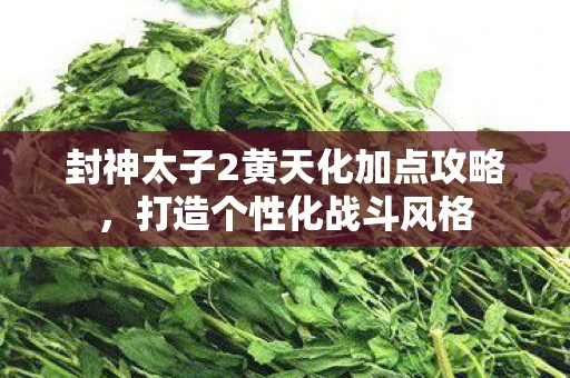 封神太子2黄天化加点攻略，打造个性化战斗风格