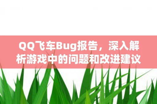 QQ飞车Bug报告，深入解析游戏中的问题和改进建议