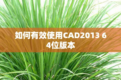 如何有效使用CAD2013 64位版本