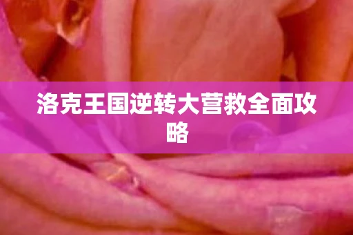 洛克王国逆转大营救全面攻略