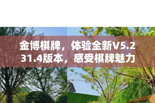 金博棋牌，体验全新V5.231.4版本，感受棋牌魅力