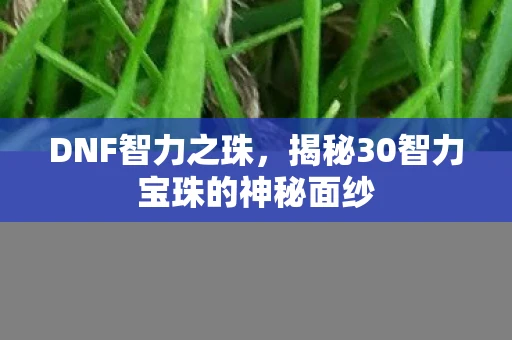 DNF智力之珠，揭秘30智力宝珠的神秘面纱