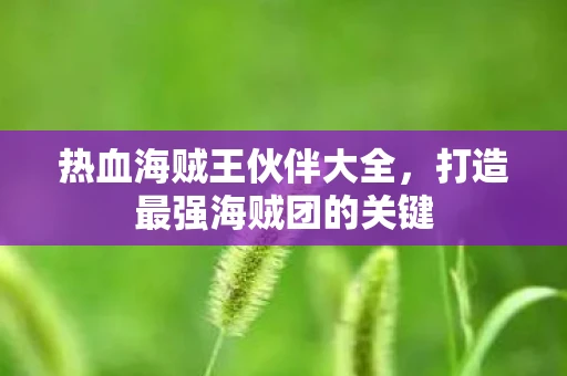 热血海贼王伙伴大全，打造最强海贼团的关键