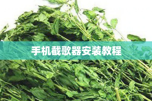 手机截歌器安装教程