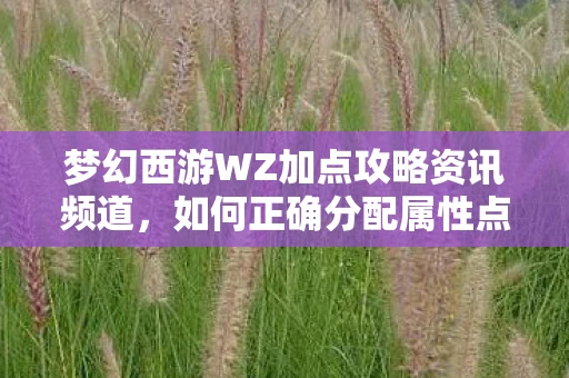 梦幻西游WZ加点攻略资讯频道，如何正确分配属性点