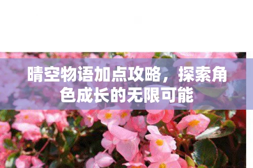 探索角色成长的无限可能图片