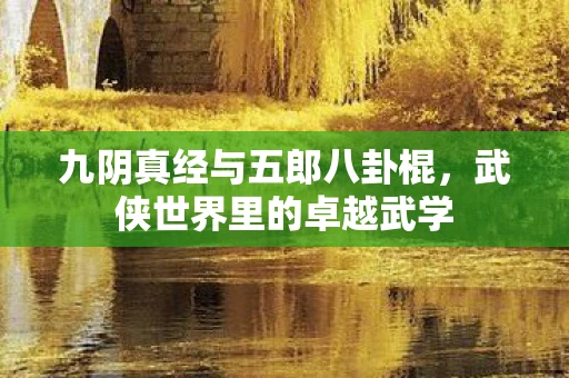 九阴真经与五郎八卦棍，武侠世界里的卓越武学