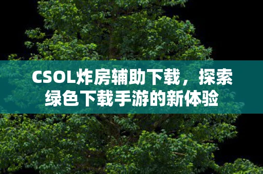 CSOL炸房辅助下载，探索绿色下载手游的新体验