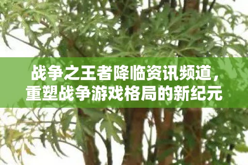 战争之王者降临资讯频道，重塑战争游戏格局的新纪元