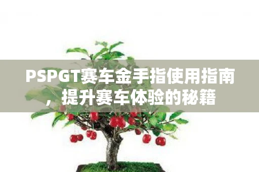 PSPGT赛车金手指使用指南，提升赛车体验的秘籍