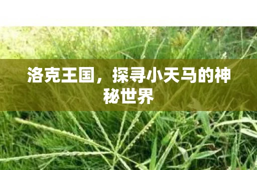 洛克王国，探寻小天马的神秘世界