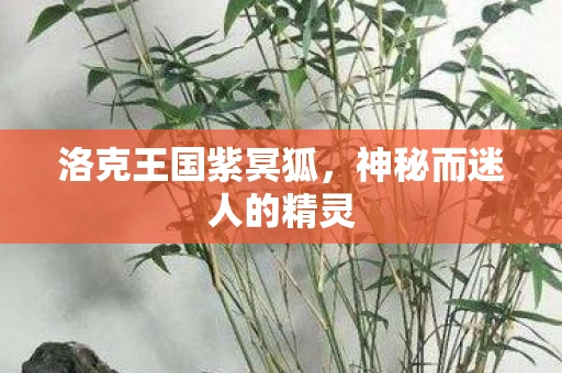 洛克王国紫冥狐，神秘而迷人的精灵