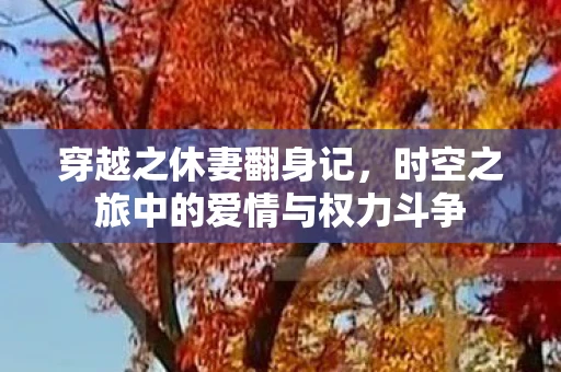 穿越之休妻翻身记，时空之旅中的爱情与权力斗争