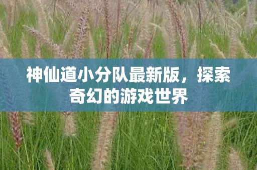 神仙道小分队最新版，探索奇幻的游戏世界