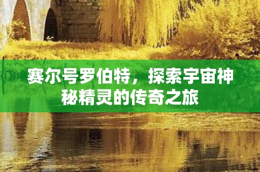 赛尔号罗伯特，探索宇宙神秘精灵的传奇之旅