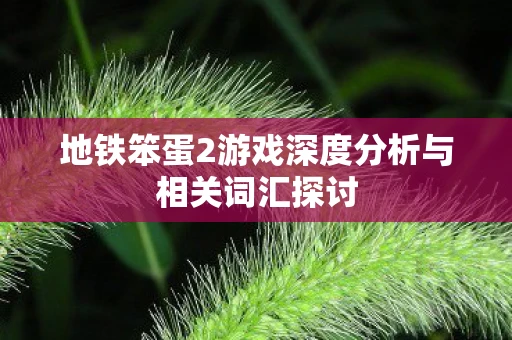 地铁笨蛋2游戏深度分析与相关词汇探讨