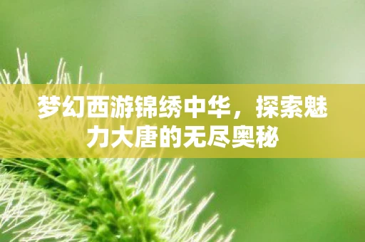 梦幻西游锦绣中华，探索魅力大唐的无尽奥秘